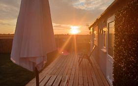 The Sunset 